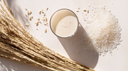 What makes Rice Water so potent?