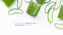 How Aloe Vera Supports Your Skin Barrier in Summer