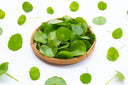What is Centella Asiatica? The Ancient Healing Herb Your Skin Needs