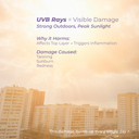 Protects skin from free radicals, pollution, and UV-induced damage